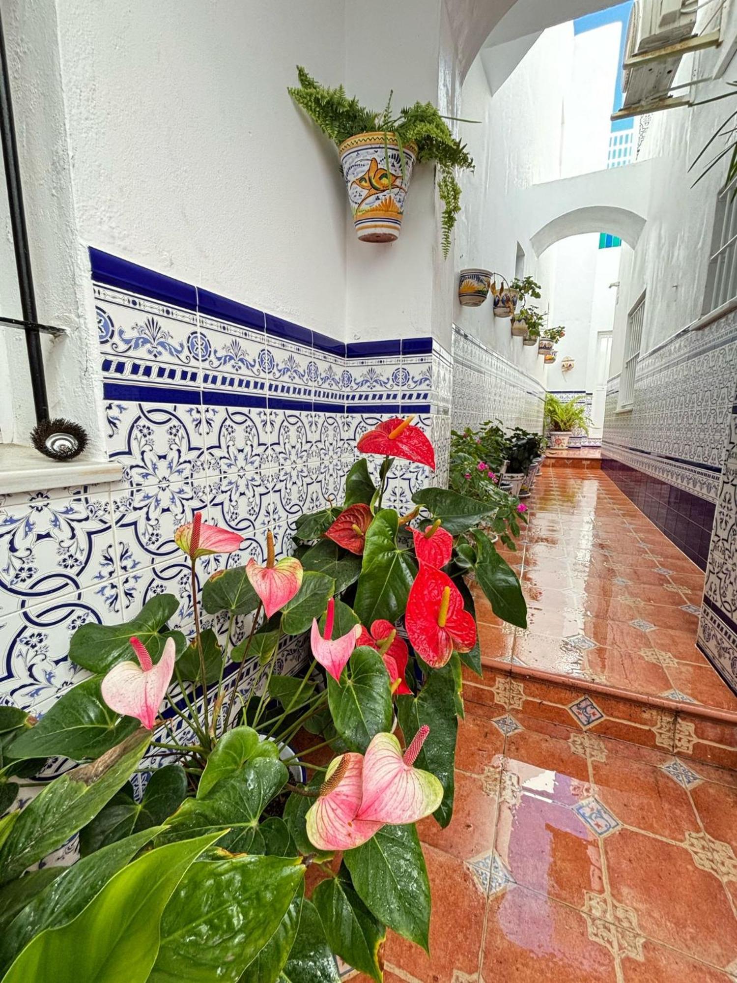 Villa Pacoplaza Conil De La Frontera Exterior foto